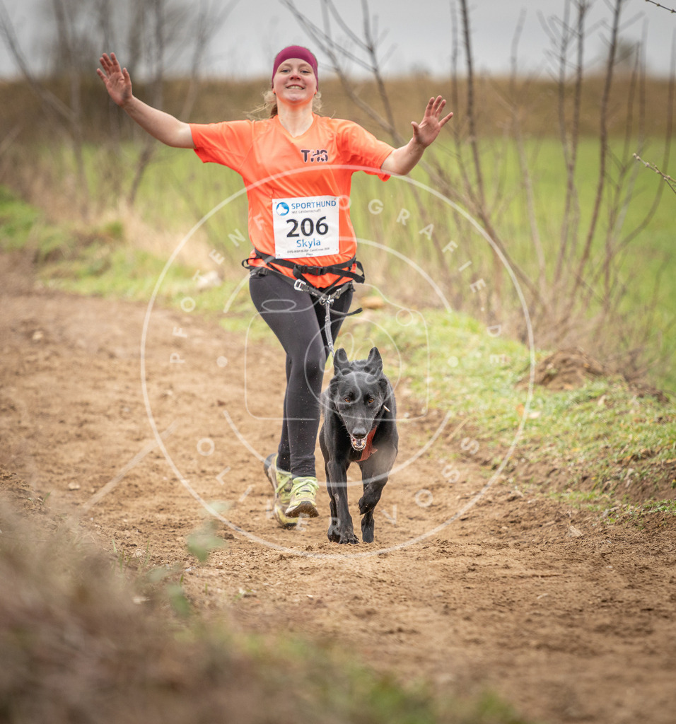 DV3A2554 | Hundefotografie, Tierfotograf, Pfotenfotografie, Fotoshooting Hund, Hunde Portrait, Hundesport, Hundeportraits, Heideshooting, Hunde, Sportfotograf, Hundefotograf, Turnierhundsport, THS,  - Realisiert mit Pictrs.com