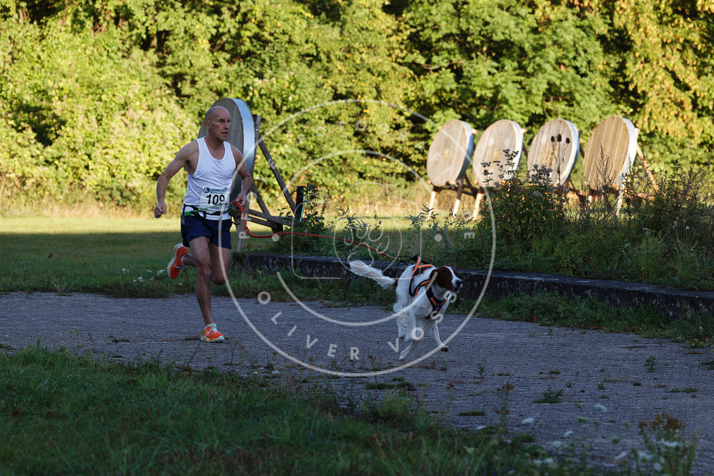 0L8A4647 | Hundefotografie, Tierfotograf, Pfotenfotografie, Fotoshooting Hund, Hunde Portrait, Hundesport, Hundeportraits, Heideshooting, Hunde, Sportfotograf, Hundefotograf, Turnierhundsport, THS,  - Realisiert mit Pictrs.com