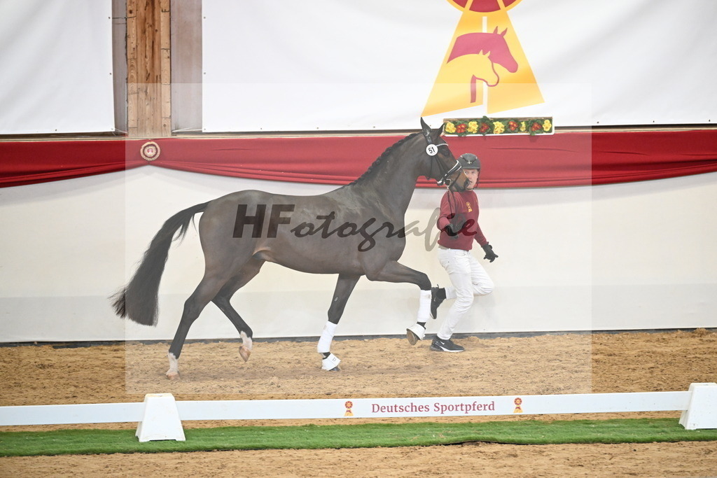 Kat.-Nr. 51 v. Donkey Boy_Lenzen_2250204 | hf-fotografie - Realisiert mit Pictrs.com