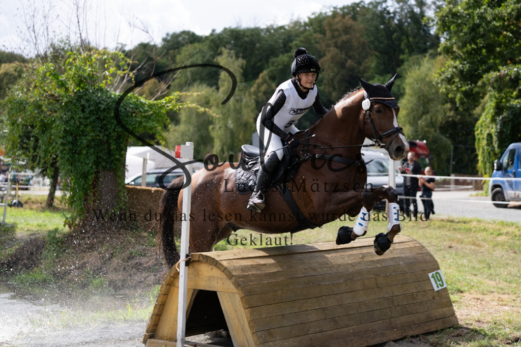 A7V01113 | Pferdefotograf