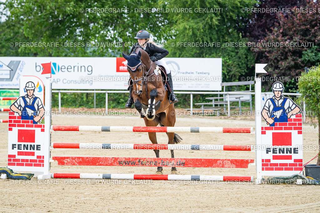 DSC03338 | Pferdegrafie