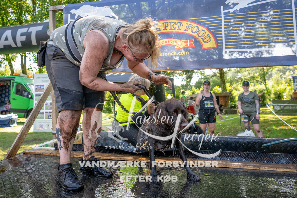 1538_ZZ92264 | kk-dogfotos