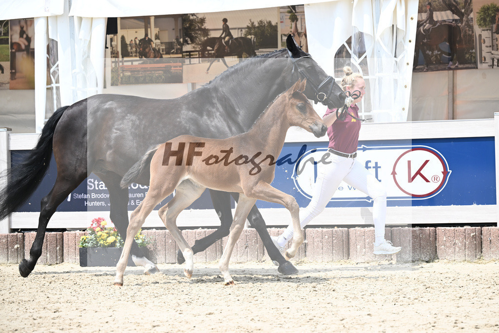 Vitalos x Lord Leopold_SF_Strohmeier_12250900 | hf-fotografie - Realisiert mit Pictrs.com