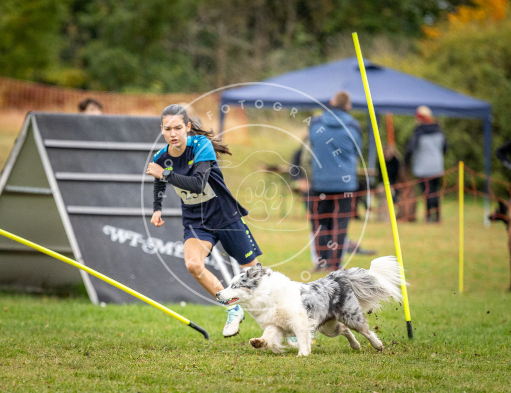 Pfotenfotografie_DV3A0583 | Hundefotografie, Tierfotograf, Pfotenfotografie, Fotoshooting Hund, Hunde Portrait, Hundesport, Hundeportraits, Heideshooting, Hunde, Sportfotograf, Hundefotograf, Turnierhundsport, THS,  - Realisiert mit Pictrs.com