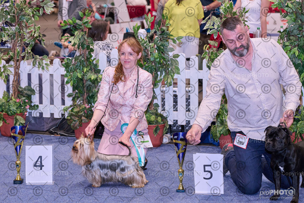 202406_ÖKV-IHA-Tulln24_NZ9_7823 | proPHOTO - Realisiert mit Pictrs.com