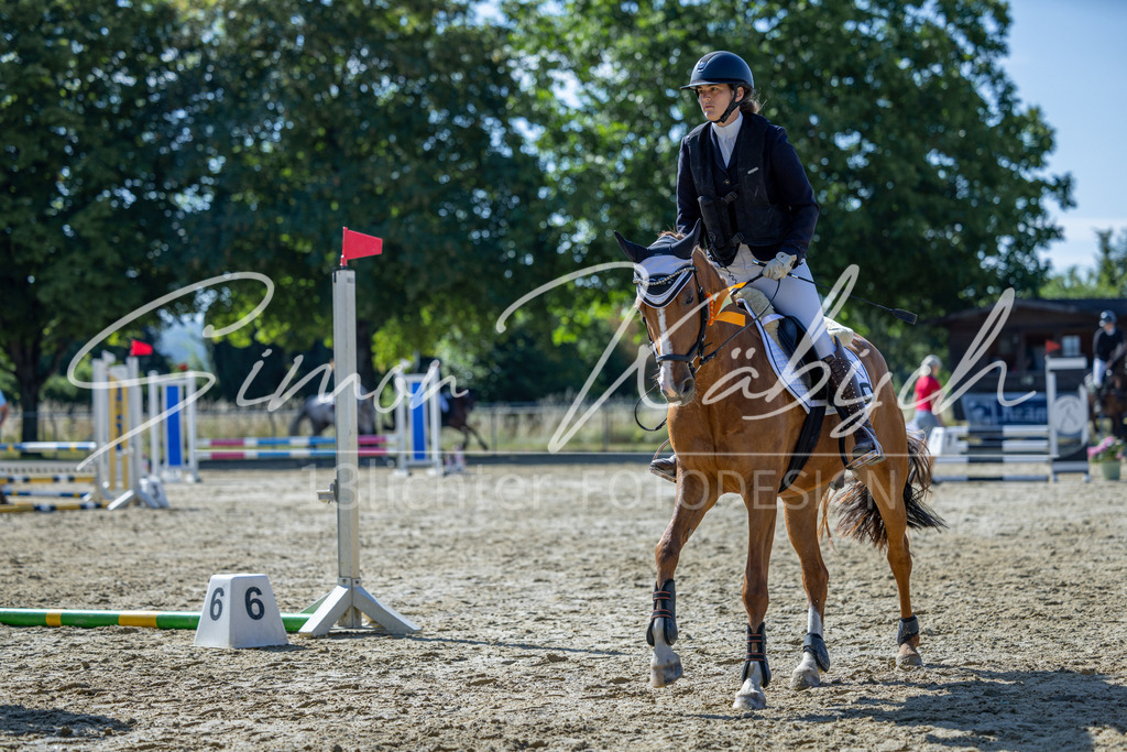 20260704-_3LI7394 | Tierfotografie Pferde, Hunde, Katzen, Haustiere.
Turnierfotografie Reitturniere, Reiten, Springreiten, Dressur in Hanau, dem Main-Kinzig-Kreis und dem Rhein-Main- Gebiet um Frankfurt