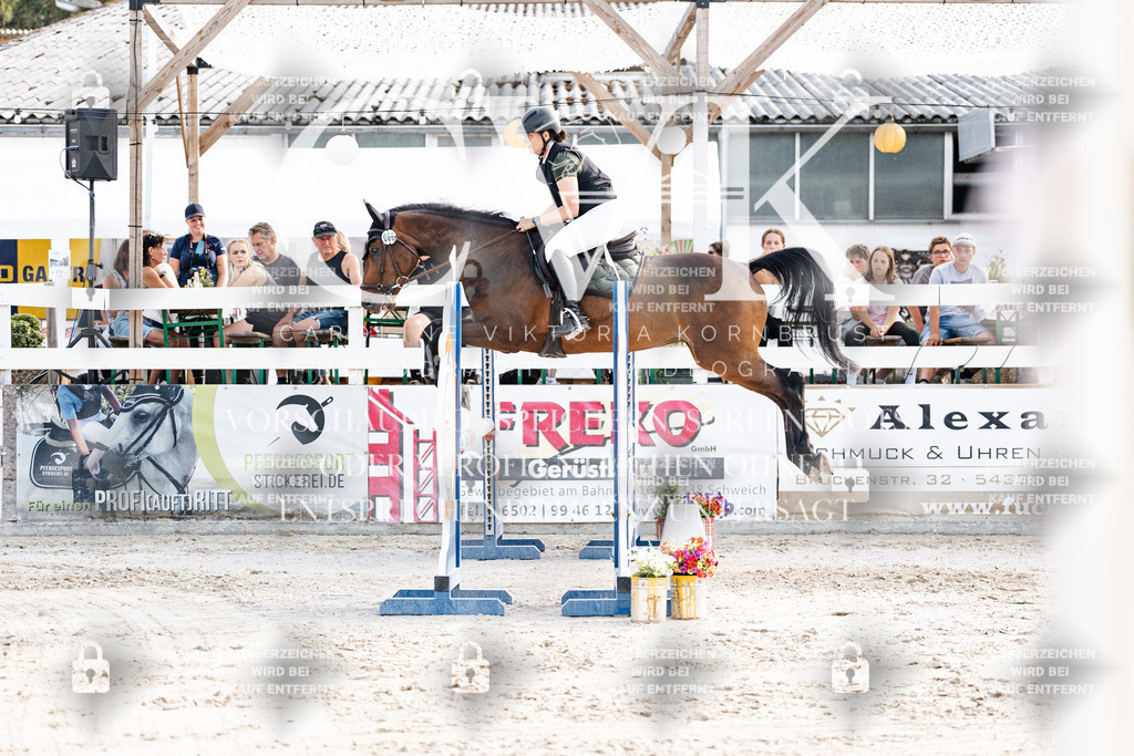 CK906273 | Turnierfotografie Pferdefotografie Trier Rheinland-Pfalz Pferdesport Reitsport Tierfotografie Sportfotografie Pferdevideo Pferdevideografie Equestrianvideography equestrianphotography  - Realisiert mit Pictrs.com