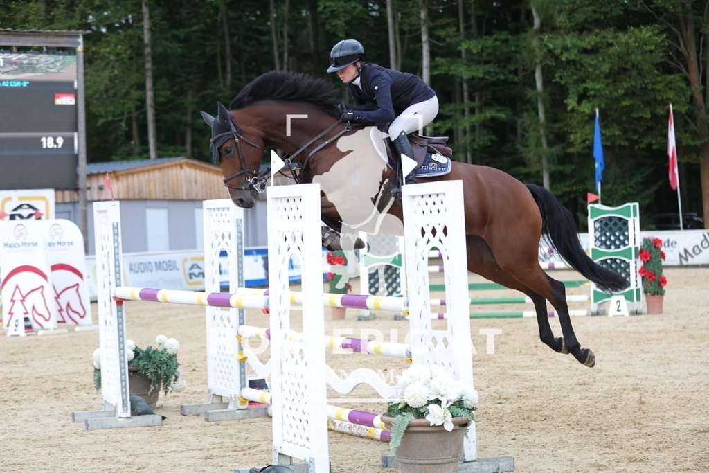 0P6A7560 | Willkommen bei Brunnmayr - Design & Fotografie – Ihrem Spezialisten für Reitturniere und Pferdeveranstaltungen in Oberösterreich, Salzburg und Bayern! Seit über 17 Jahren sind wir leidenschaftlich dabei.