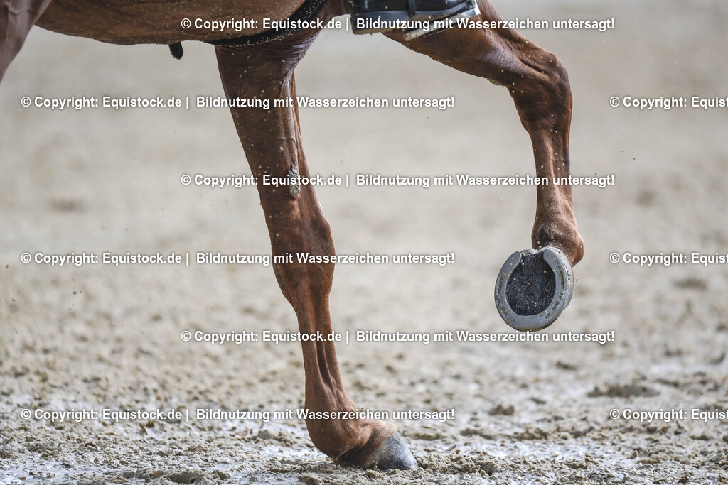 20240519_03_GP-Special-Tour_0111 | Foto: Thomas Hartig