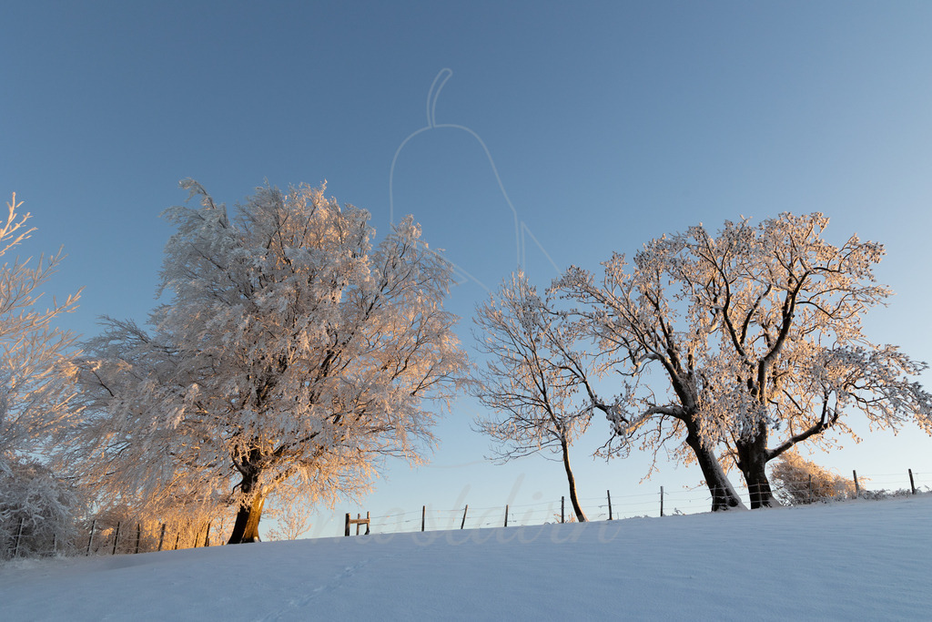 Winter am Hochkogelberg | Ihre Fotografin im Lungau, ihre Fotografin im Mostviertel, Wandbilder Onlineshop, Imagefotos für Ihr Unternehmen,  - Realisiert mit Pictrs.com