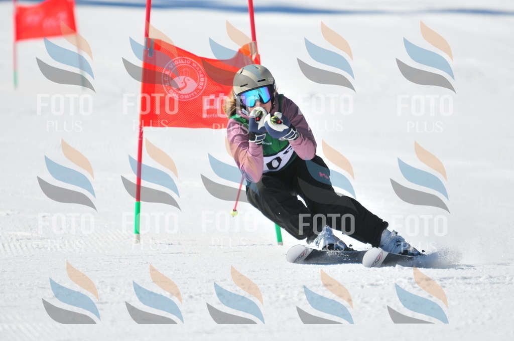 C4196 | holidayphoto