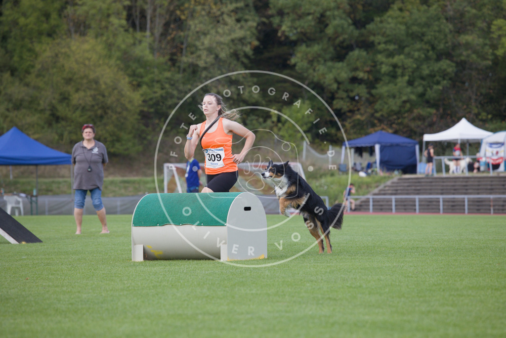 0L8A4154 | Hundefotografie, Tierfotograf, Pfotenfotografie, Fotoshooting Hund, Hunde Portrait, Hundesport, Hundeportraits, Heideshooting, Hunde, Sportfotograf, Hundefotograf, Turnierhundsport, THS,  - Realisiert mit Pictrs.com