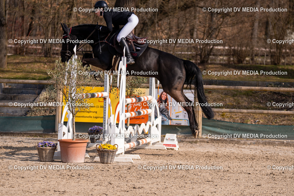 Kranichstein Tag 2-1489 | dv-media-shop - Realisiert mit Pictrs.com