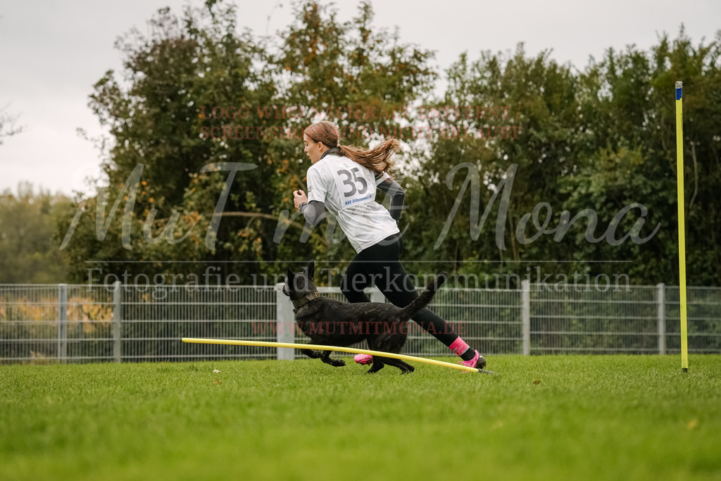 20251005_THS_Turnier-448 | MuT (Mensch und Tier) mit Mona - Fotografie und Tierkommunikation - Realisiert mit Pictrs.com