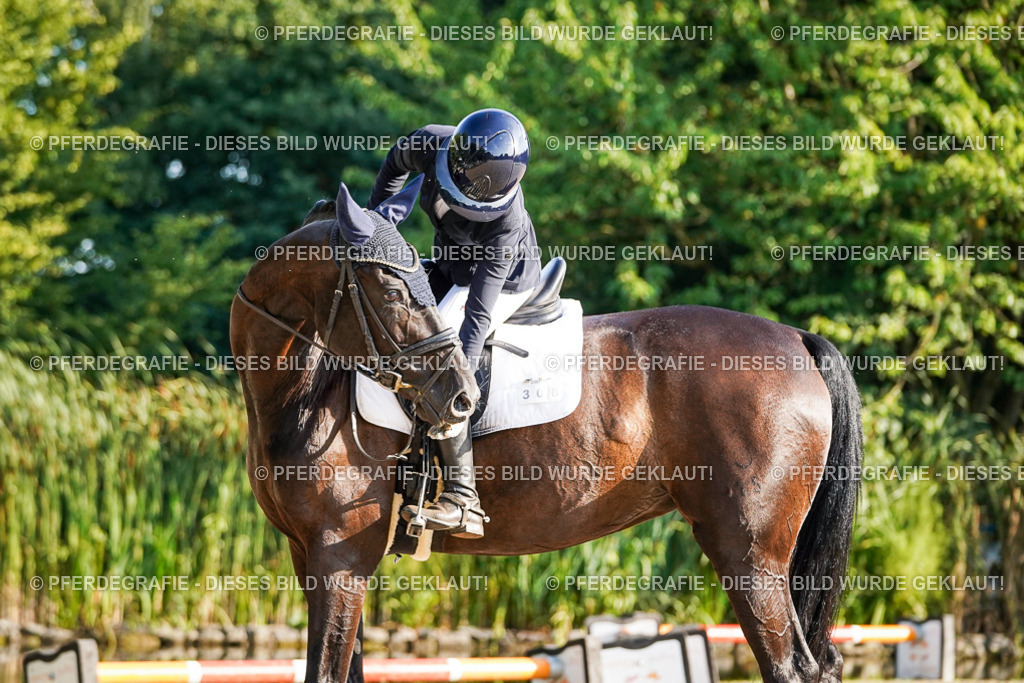 DSC08280 | Pferdegrafie