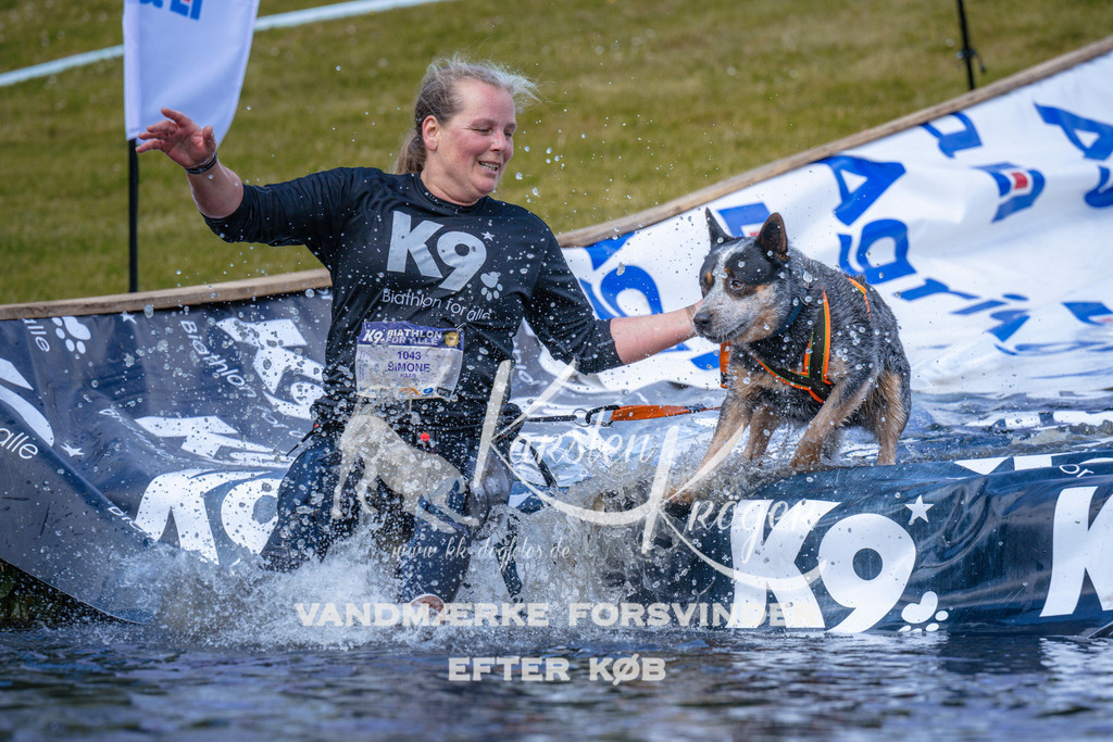 _ZZ997141057 | kk-dogfotos