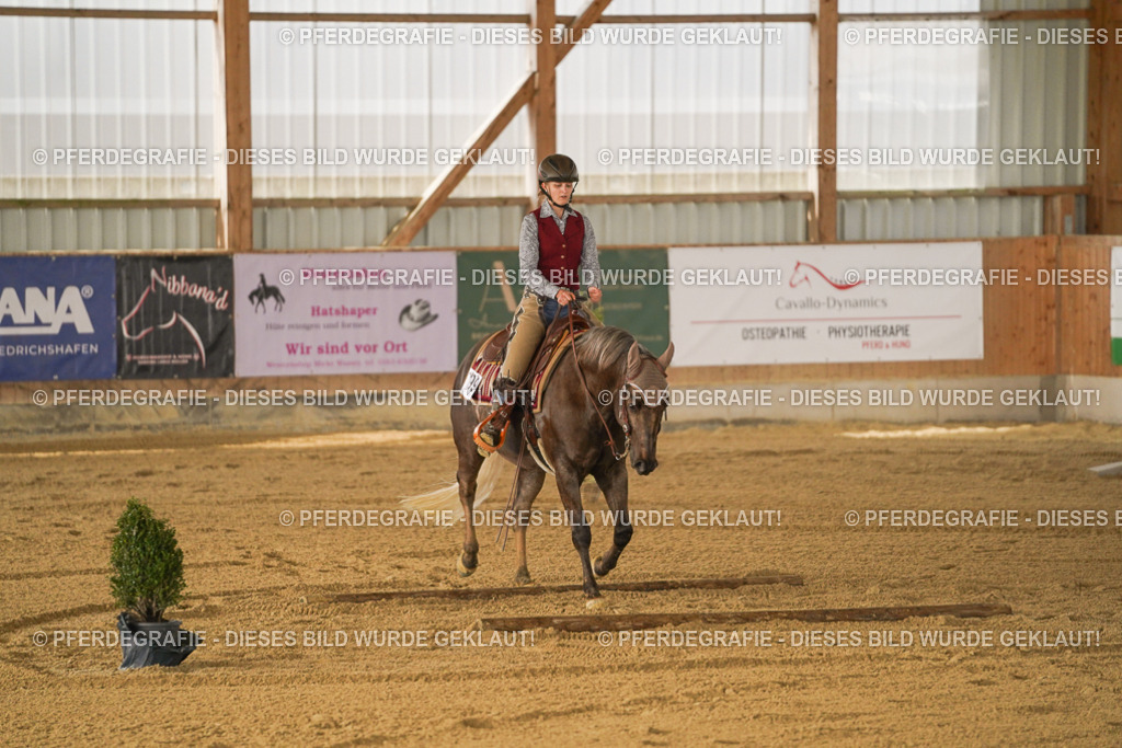 DSC05673 | Pferdegrafie