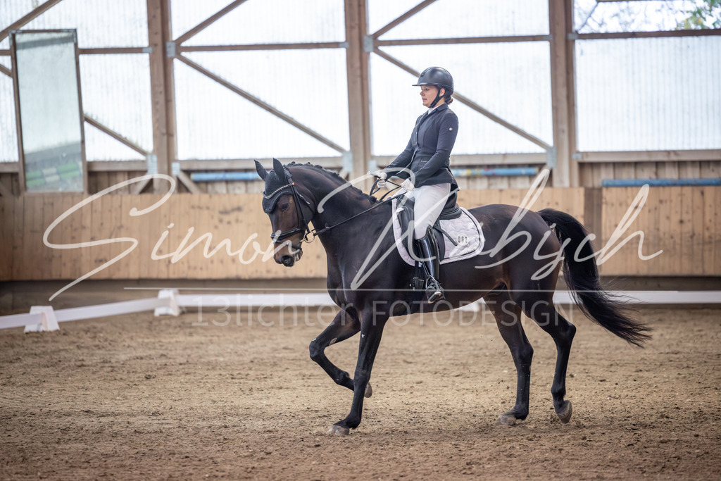 20251011-_3LI1734 | Tierfotografie Pferde, Hunde, Katzen, Haustiere.
Turnierfotografie Reitturniere, Reiten, Springreiten, Dressur in Hanau, dem Main-Kinzig-Kreis und dem Rhein-Main- Gebiet um Frankfurt