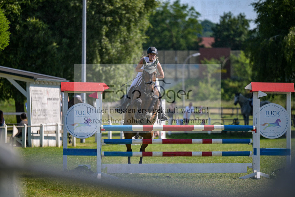 Reitturnier Voxtrup | Entdecke hochwertige Reitturnierfotos von Foto Oger. Professionell, emotional und authentisch – jetzt Lieblingsmomente im Shop bestellen.Deutschlandweite Turnierfotografie. - Realisiert mit Pictrs.com
