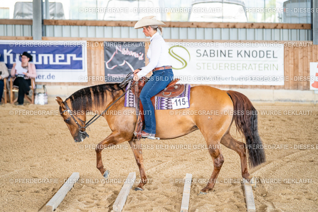 DSC02551 | Pferdegrafie