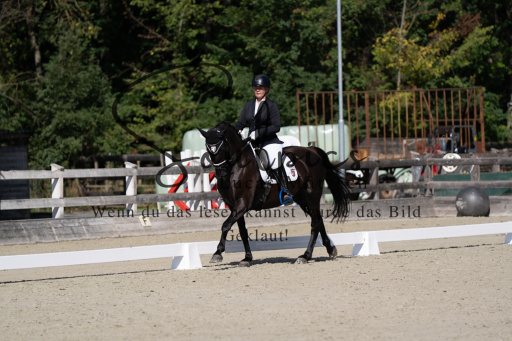 A7V07076 | Turnier/Reitfotograf