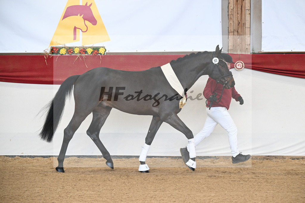 Kat.-Nr. 22 v. Heartbreaker_Laue_3263073 | hf-fotografie - Realisiert mit Pictrs.com