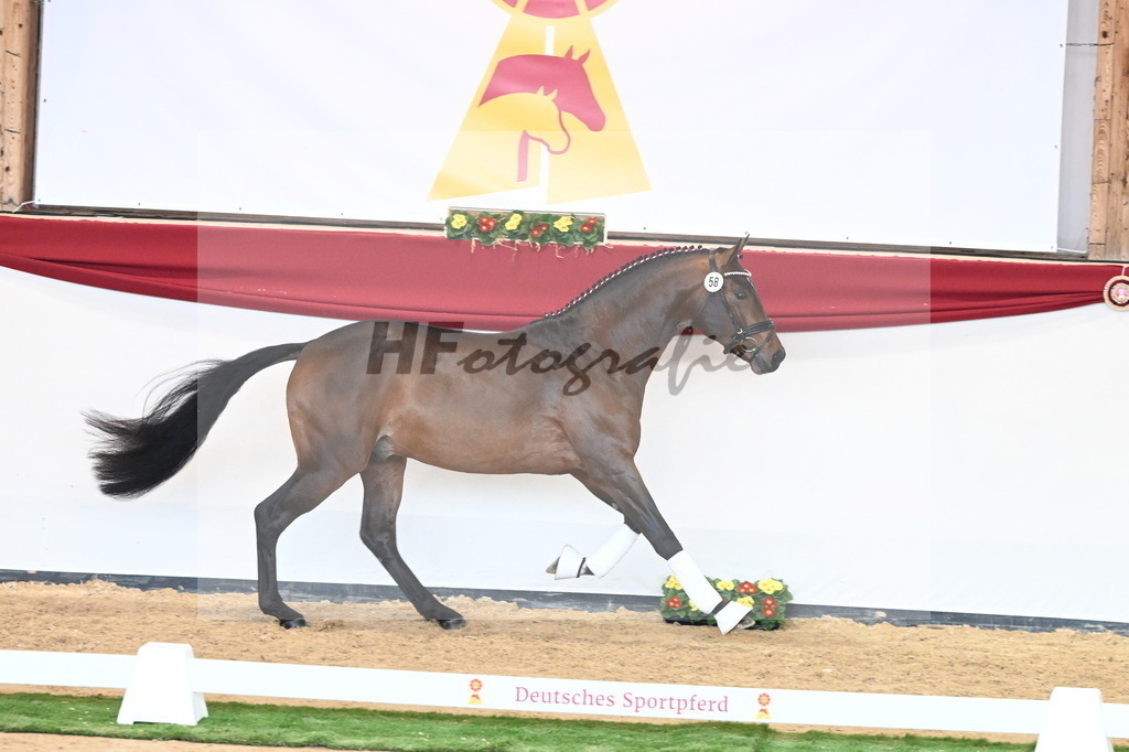 Kat.-Nr. 58 v. Monte Carlo TC_Fischer_2240853 | hf-fotografie - Realizzato con Pictrs.com