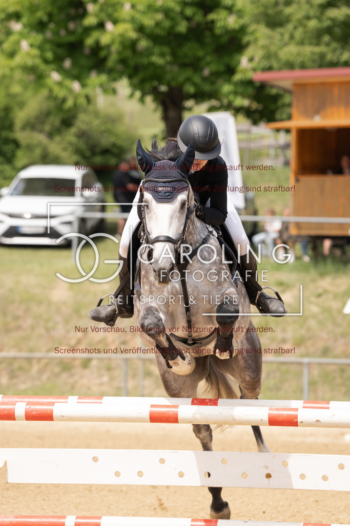 DSC06634 | Springturnier_Ehingen_Mai_2026, Anika_Ramminger, Hakuna_Matata_32