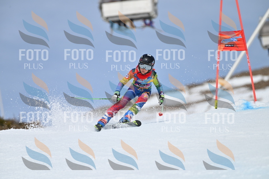 BGV_1364 | holidayphoto