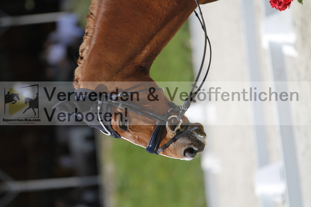 _MG_4662 | equestrian-live-com