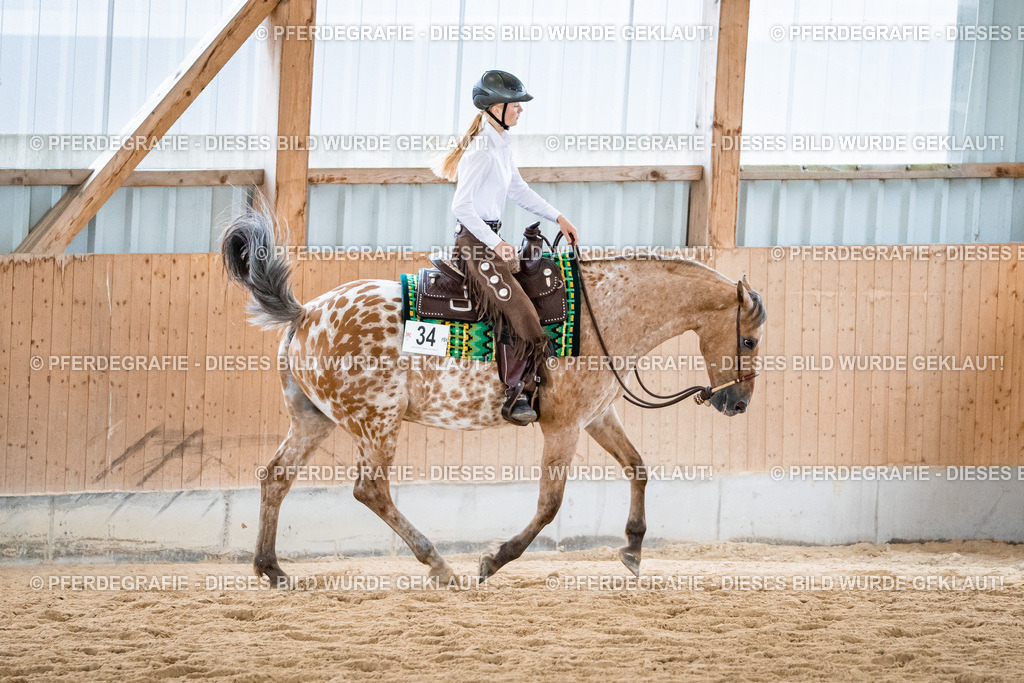 DSC01245 | Pferdegrafie