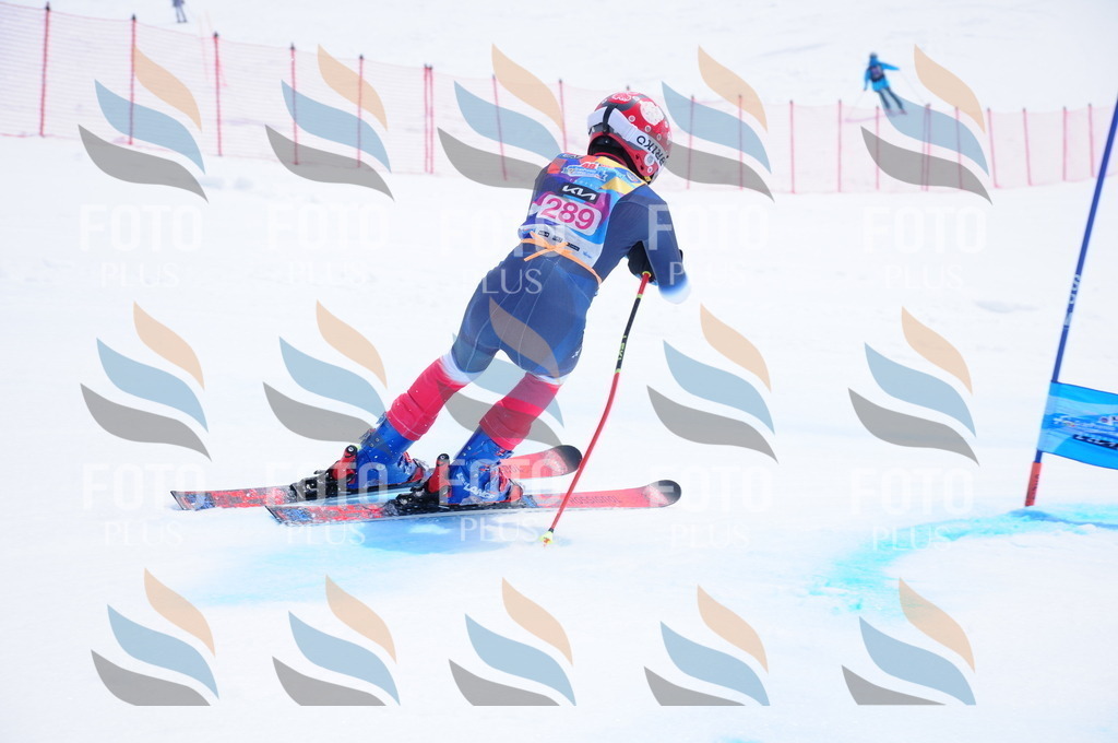 DSC_6574 | holidayphoto