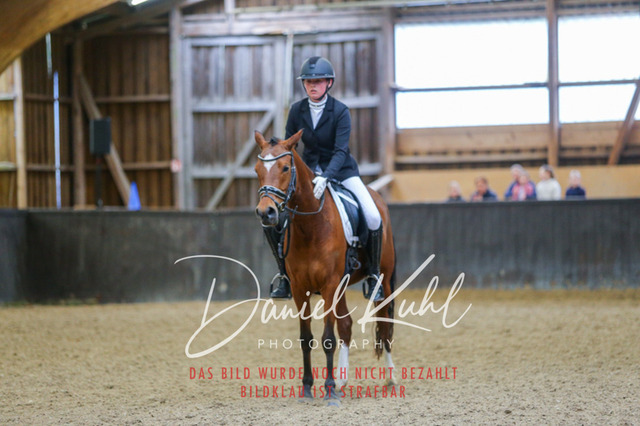 IMG_0752 | Turniersportfotografie; Pferdefotografie; Dressurfotografie