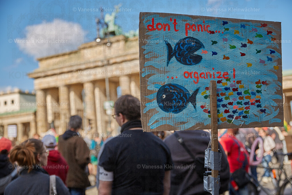 250511_AFDVerbot_BTor_05 | Vanessa Kleinwächter - Realisiert mit Pictrs.com