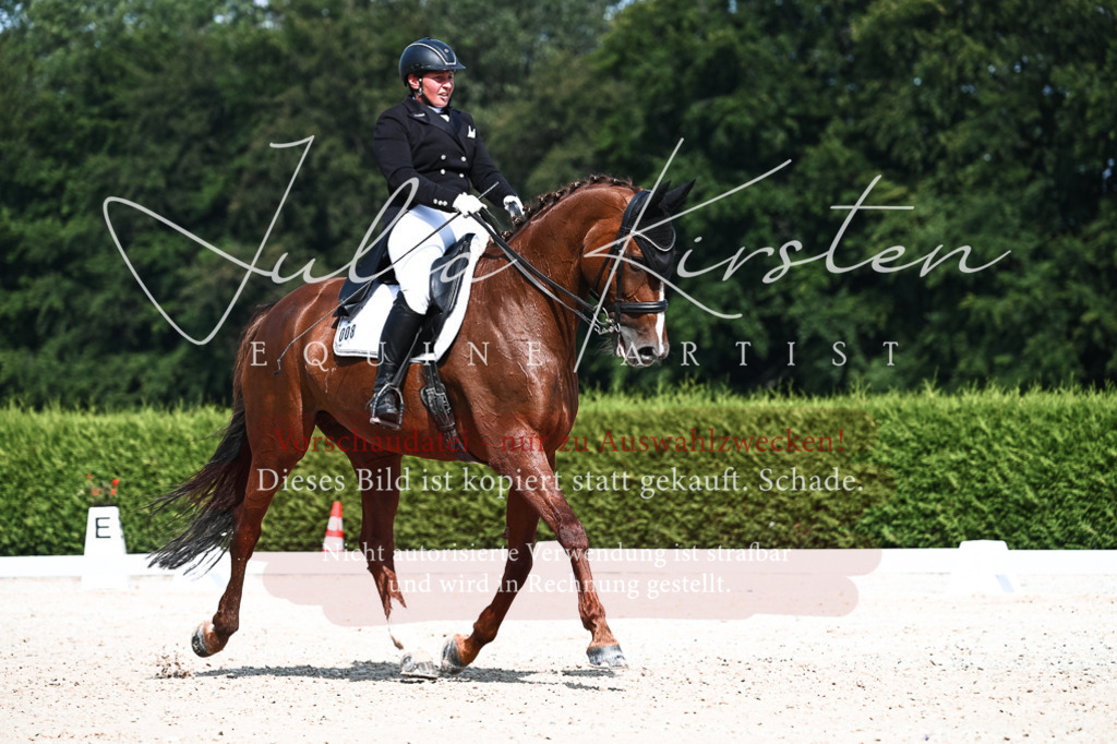 DSC_3236 | Pferde- und Turnierfotografie in Westsachsen. Pferdeportraits, Auftragszeichnungen und intuitive Kunst.