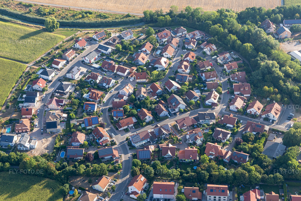 Luftbild: Im Niederhorst in Leimersheim im Bundesland Rheinland-Pfalz in Deutschland.Foto: IMG_133712.jpg vom 14.08.2022 durch Werner Riehm/FLY-FOTO.deAuflösung des Originals: 5472 x 3648 pxVG Ruelzheim