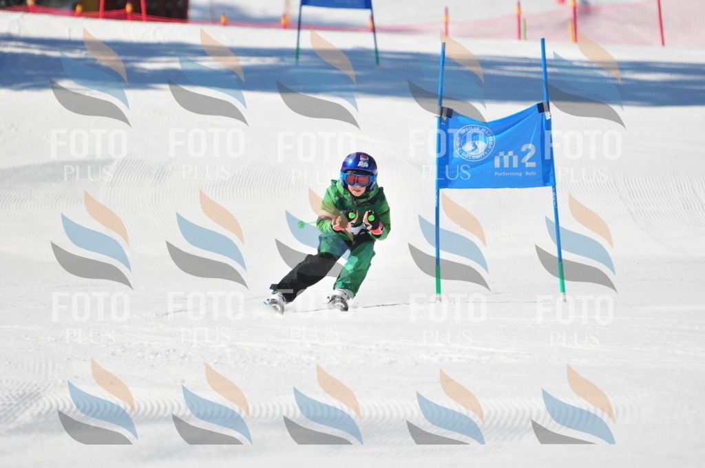 C2184 | holidayphoto