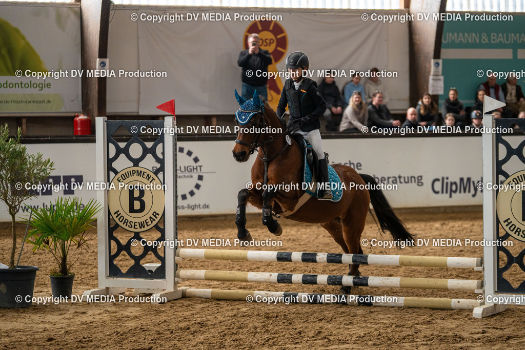 Kranichstein Tag 2-677 | dv-media-shop - Realisiert mit Pictrs.com