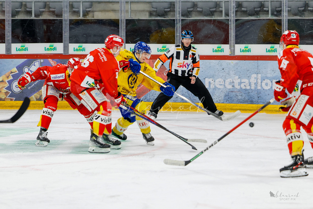 U21_EHCB vs HCD_wb20260308-0216 | Sportbilder, Sportfotograf, Hochzeits- und Eventfotografin, Flugshows, Portraits und Tiershooting, Aviation, Downhill, Nationalleague, Swissleague, International