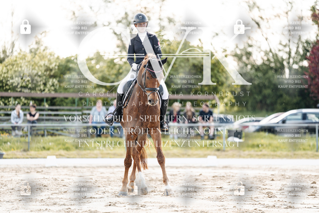 CK909742 | Turnierfotografie Pferdefotografie Trier Rheinland-Pfalz Pferdesport Reitsport Tierfotografie Sportfotografie Pferdevideo Pferdevideografie Equestrianvideography equestrianphotography  - Realisiert mit Pictrs.com