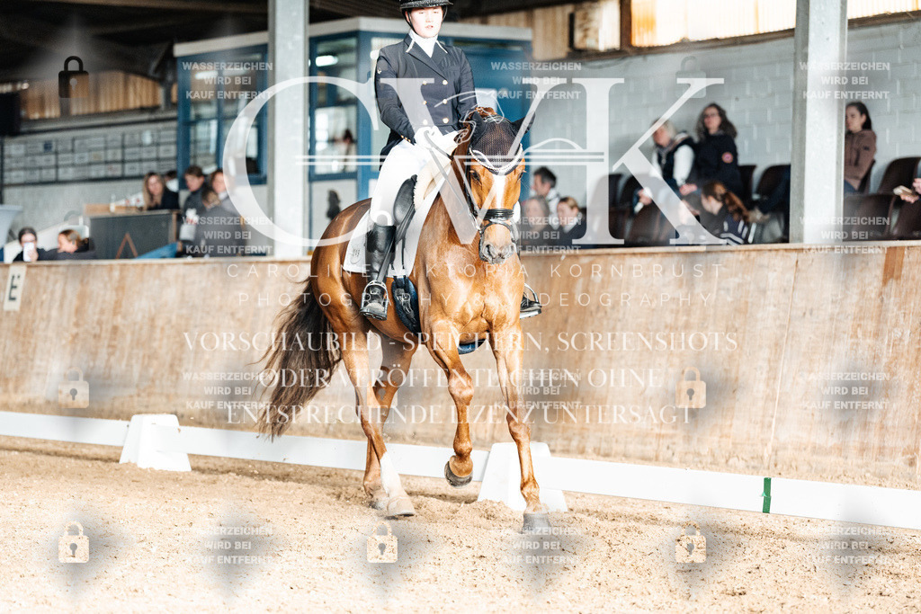 CK903160 | Turnierfotografie Pferdefotografie Trier Rheinland-Pfalz Pferdesport Reitsport Tierfotografie Sportfotografie Pferdevideo Pferdevideografie Equestrianvideography equestrianphotography  - Realisiert mit Pictrs.com