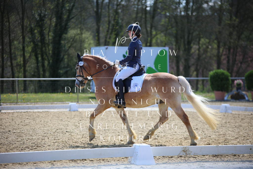 IMGT2187 | pl-fotografie