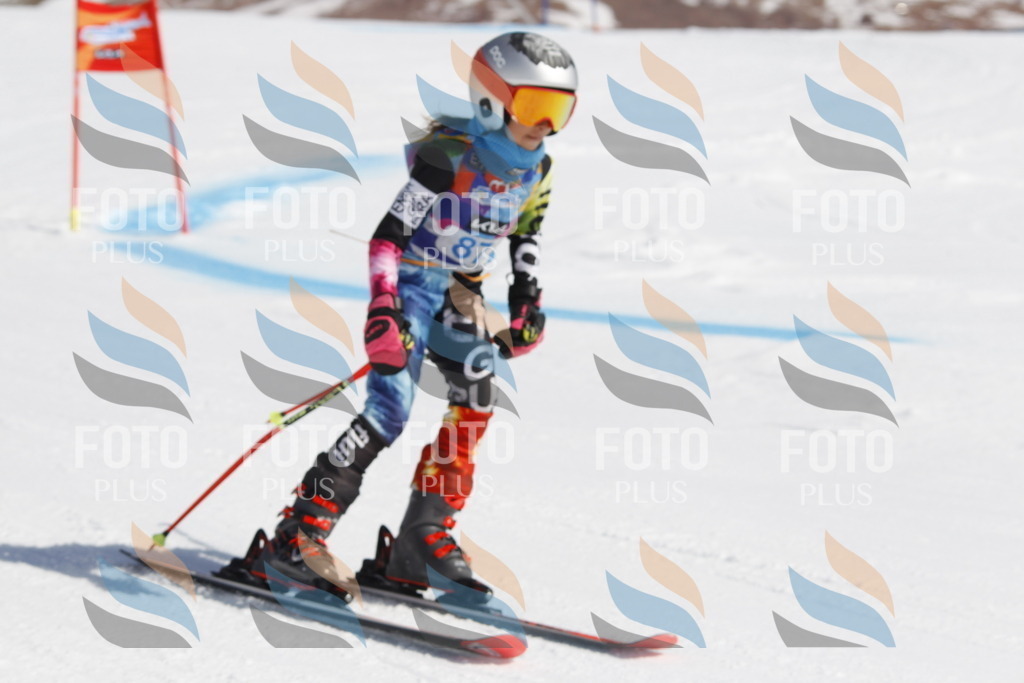 _U3G0112 | holidayphoto