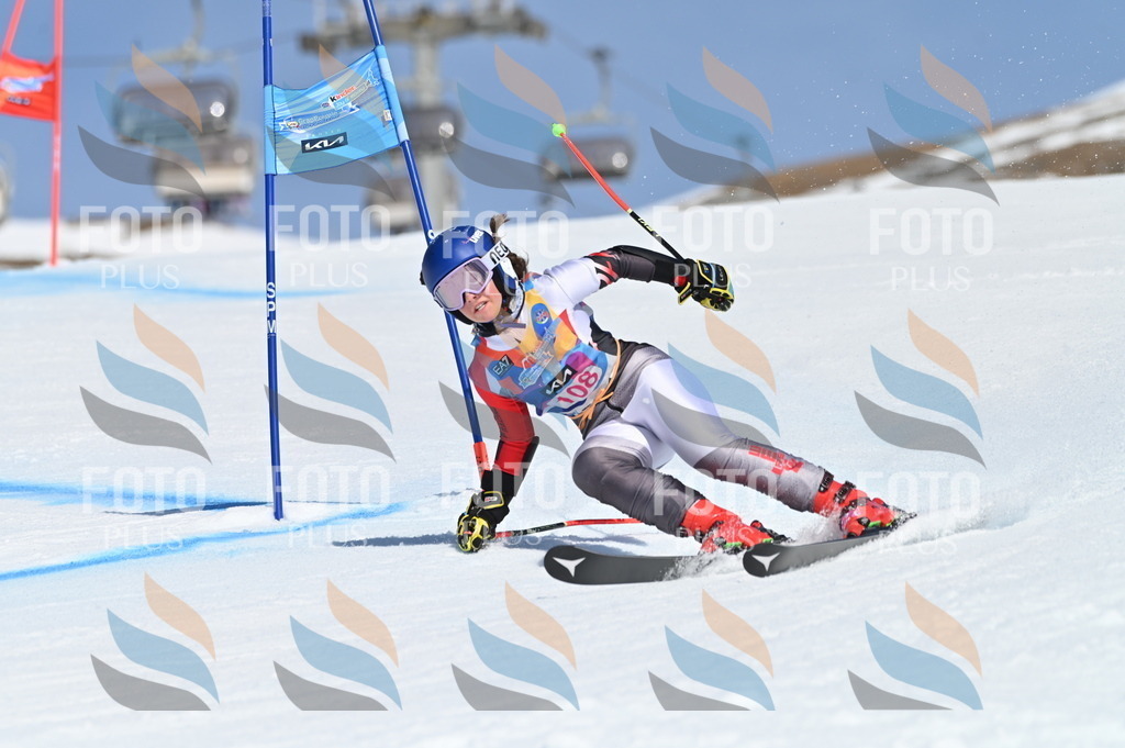 BGV_9603 | holidayphoto