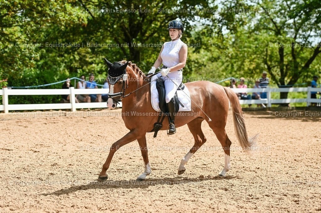 20230716_03_Dressurprfg. Kl.L - Tr._0491 | equistock