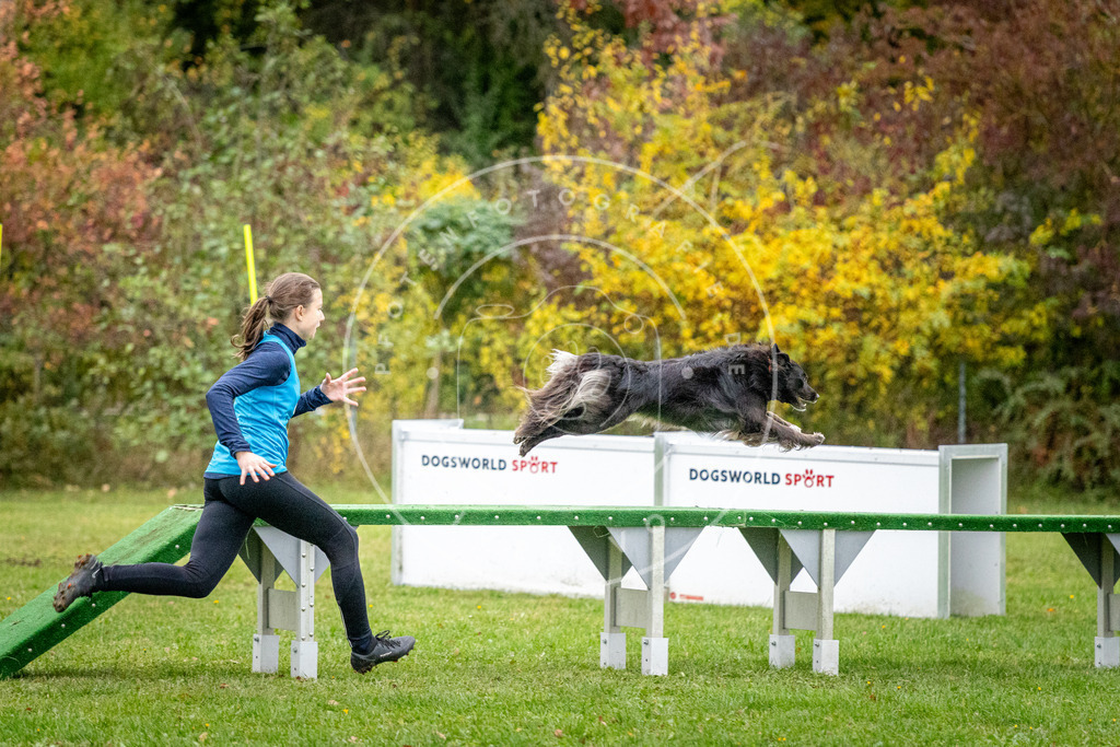 Pfotenfotografie_DV3A1138 | Hundefotografie, Tierfotograf, Pfotenfotografie, Fotoshooting Hund, Hunde Portrait, Hundesport, Hundeportraits, Heideshooting, Hunde, Sportfotograf, Hundefotograf, Turnierhundsport, THS,  - Realisiert mit Pictrs.com