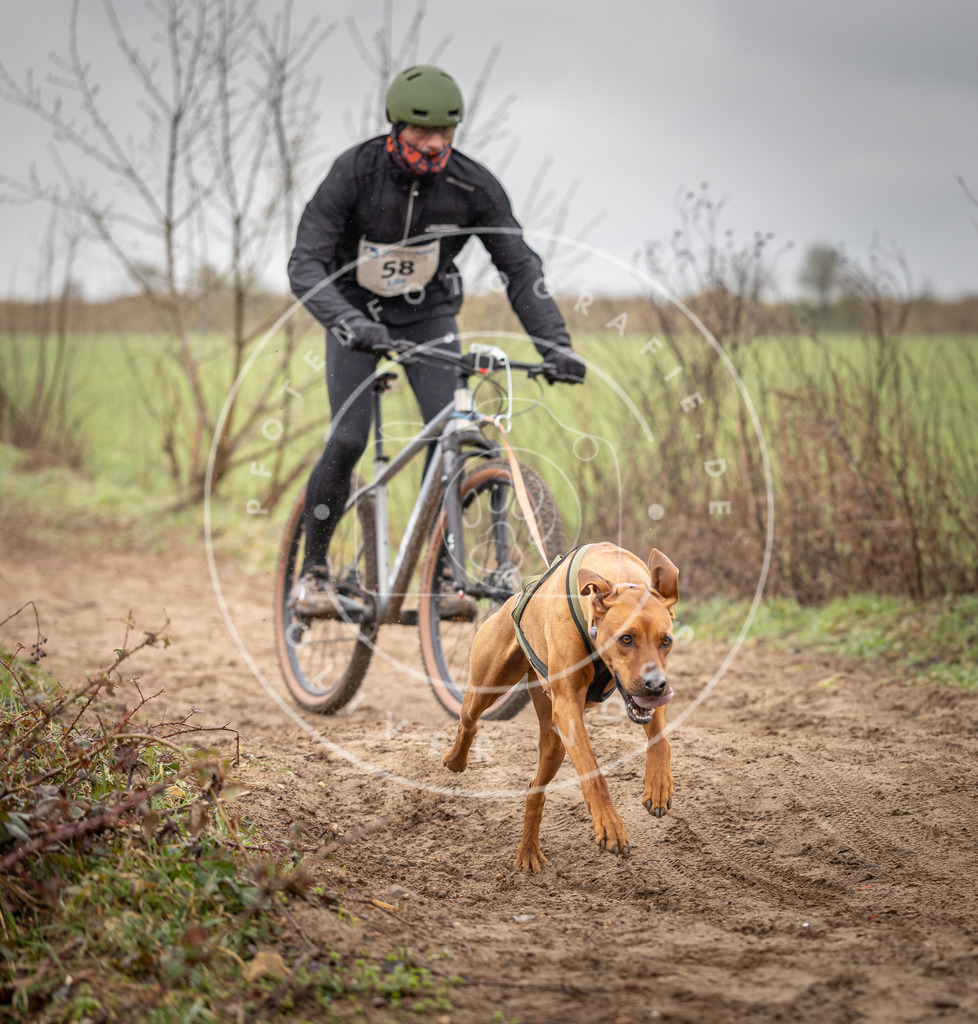 DV3A9130 | Hundefotografie, Tierfotograf, Pfotenfotografie, Fotoshooting Hund, Hunde Portrait, Hundesport, Hundeportraits, Heideshooting, Hunde, Sportfotograf, Hundefotograf, Turnierhundsport, THS,  - Realisiert mit Pictrs.com