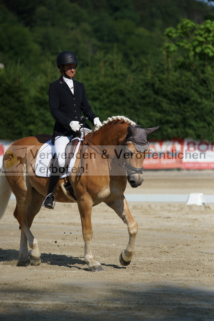 DSC01341 | equestrian-live-com