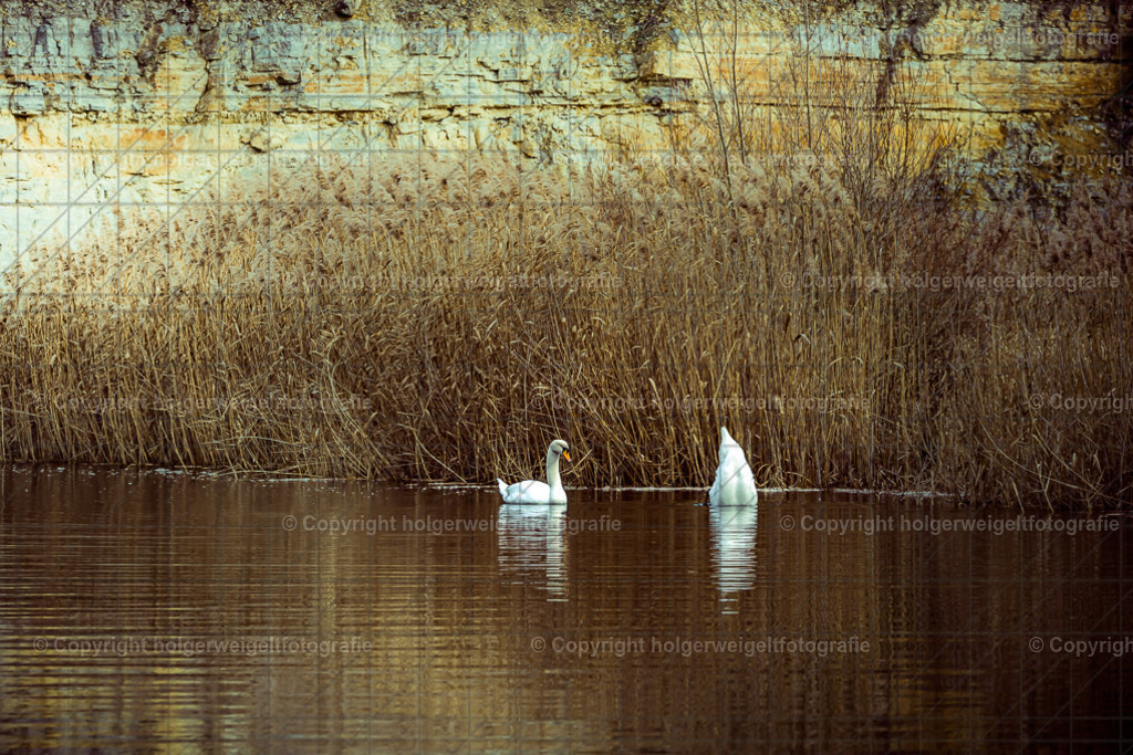 Idyll | Kaufen sie online außergewöhnliche Fotografien auf Leinwand Acrylglas Fotoprint Aludibond von holgerweigeltfotografie - Realisiert mit Pictrs.com