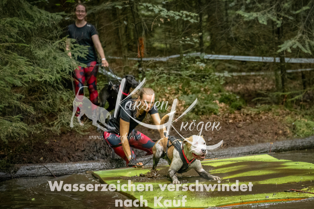1451_ZZ94020-Bearbeitet | kk-dogfotos